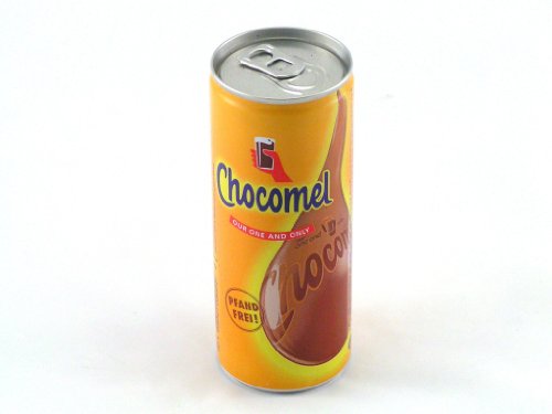 Friesland Foods: Chocomel - 1 Dose à 250 ml