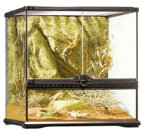 Exo Terra PT2605 Glas Terrarium 45 x 45 x 45 cm