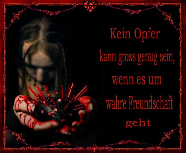 Freundschaftsgedichte Freundschaftsgedichte
