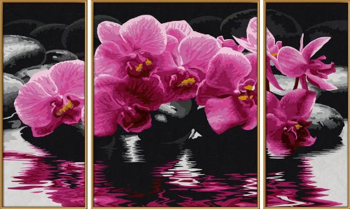 Malen nach Zahlen 609260603 - Orchideen - Triptychon