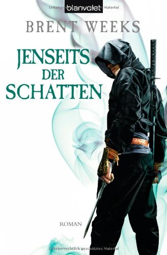 Jenseits der Schatten: Roman
