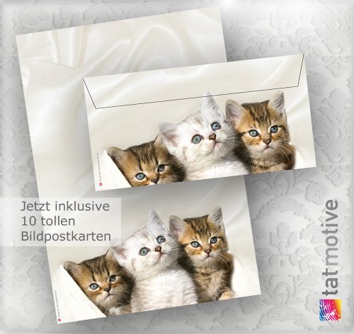 Briefpapier Set Katzen (25 Sets inkl. Kuverts)<br>Set mit Briefbögen und passenden Umschlägen für geschmackvolle Briefe für Katzenliebhaber. Geschenkidee, Geschenke Set <b><br>JETZT NEU: inklusive 10 Bildpostkarten</b>