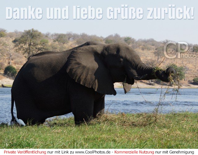 Grüße zurück polnisch liebe Liebe grüße