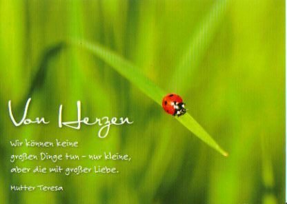 Download Spruch marienkaefer Free HD