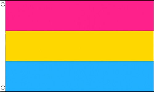 5 ft x 3 ft (150 x 90 cm) pansexual Pride 100% Polyester Material Flagge Banner Ideal für Pub Club Festival Business Party Dekoration