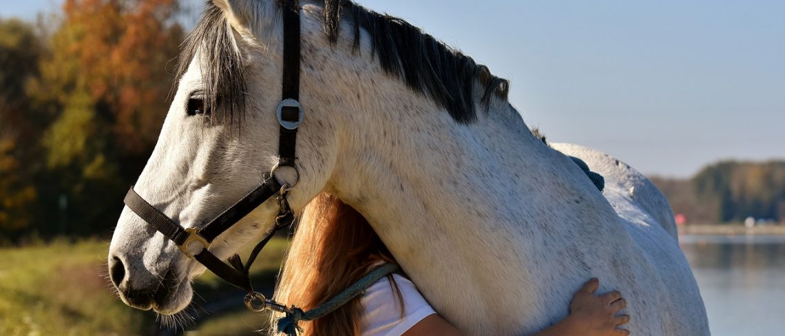 Einen tierlieben Partner finden